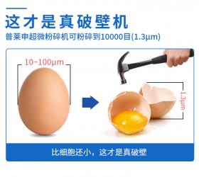 大型超微破壁粉碎機(jī)，為何要選普萊申？